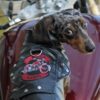 Custom Dog Motorcycle Jacket - Image 3